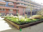 Balboaplein 66, Amsterdam West